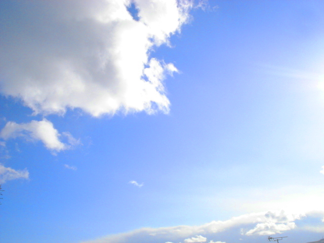 f0132565_1054789.jpg