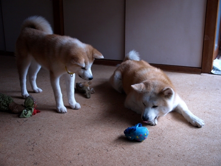 f0047870_18512192.jpg