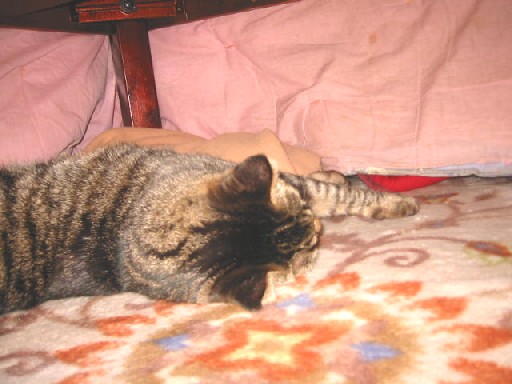 e0031572_11304292.jpg