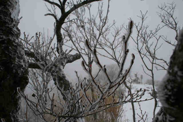 f0082181_9381680.jpg