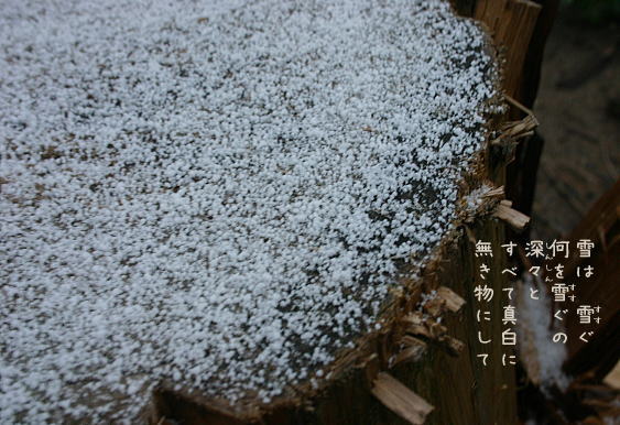 d0034988_1035237.jpg
