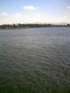 f0043790_211555.jpg