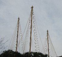 e0122199_2195828.jpg