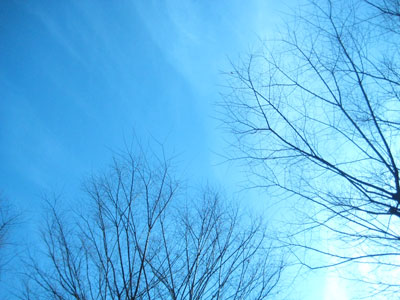 b0097200_9425663.jpg