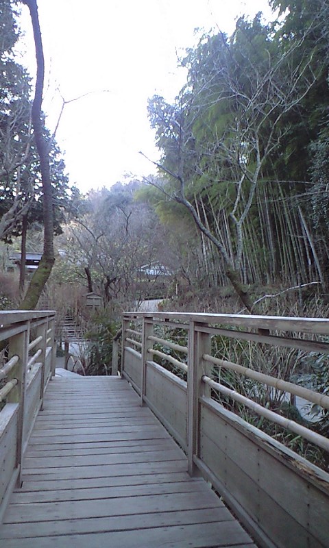 b0083902_19133283.jpg