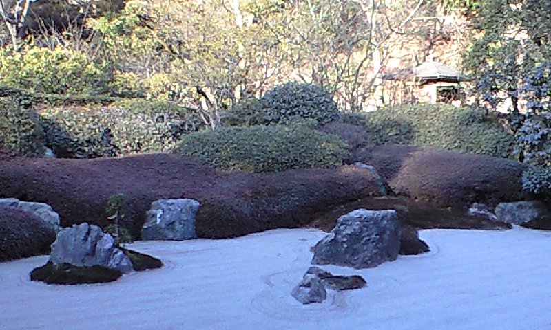 b0083902_19274479.jpg