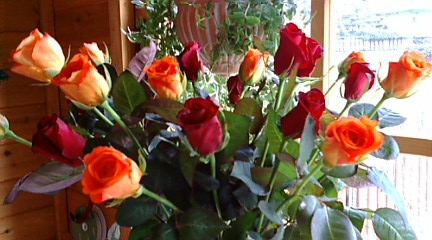 c0152002_18184310.jpg