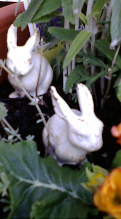 c0152002_18284582.jpg