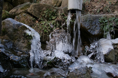 e0060302_22114064.jpg