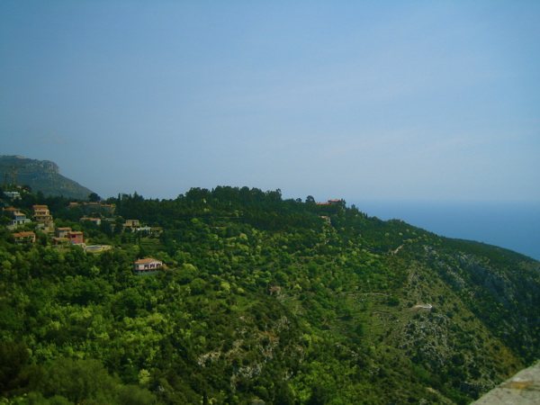 d0135907_7531990.jpg