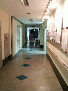 f0127408_2349784.jpg
