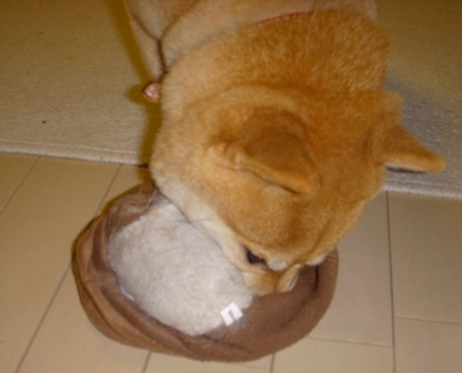 f0004309_17422135.jpg