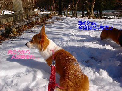 c0153410_14293170.jpg
