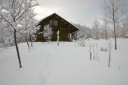 d0143719_1503936.jpg