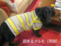 c0012120_23401627.jpg