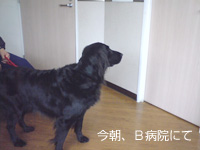 c0012120_23431516.jpg