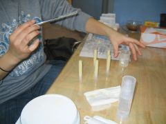 c0140230_2144543.jpg