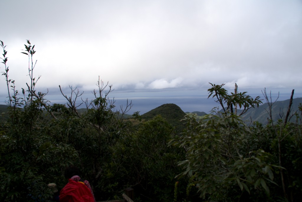 d0053930_5391186.jpg
