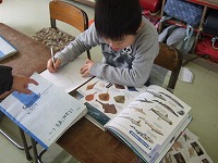 e0069234_1446469.jpg