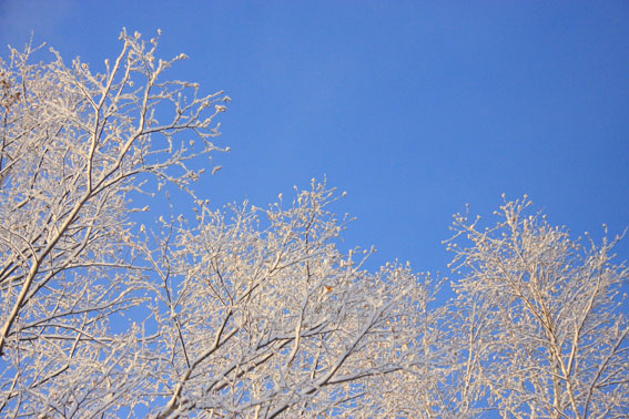 d0069235_2375721.jpg