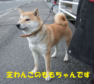f0008935_12252942.gif