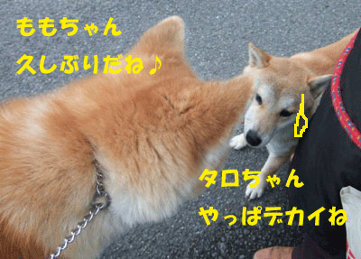 f0008935_12254727.gif