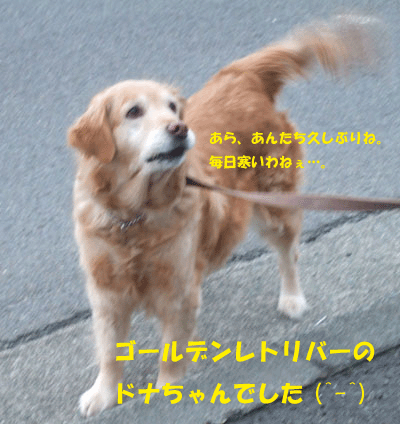 f0008935_12261838.gif