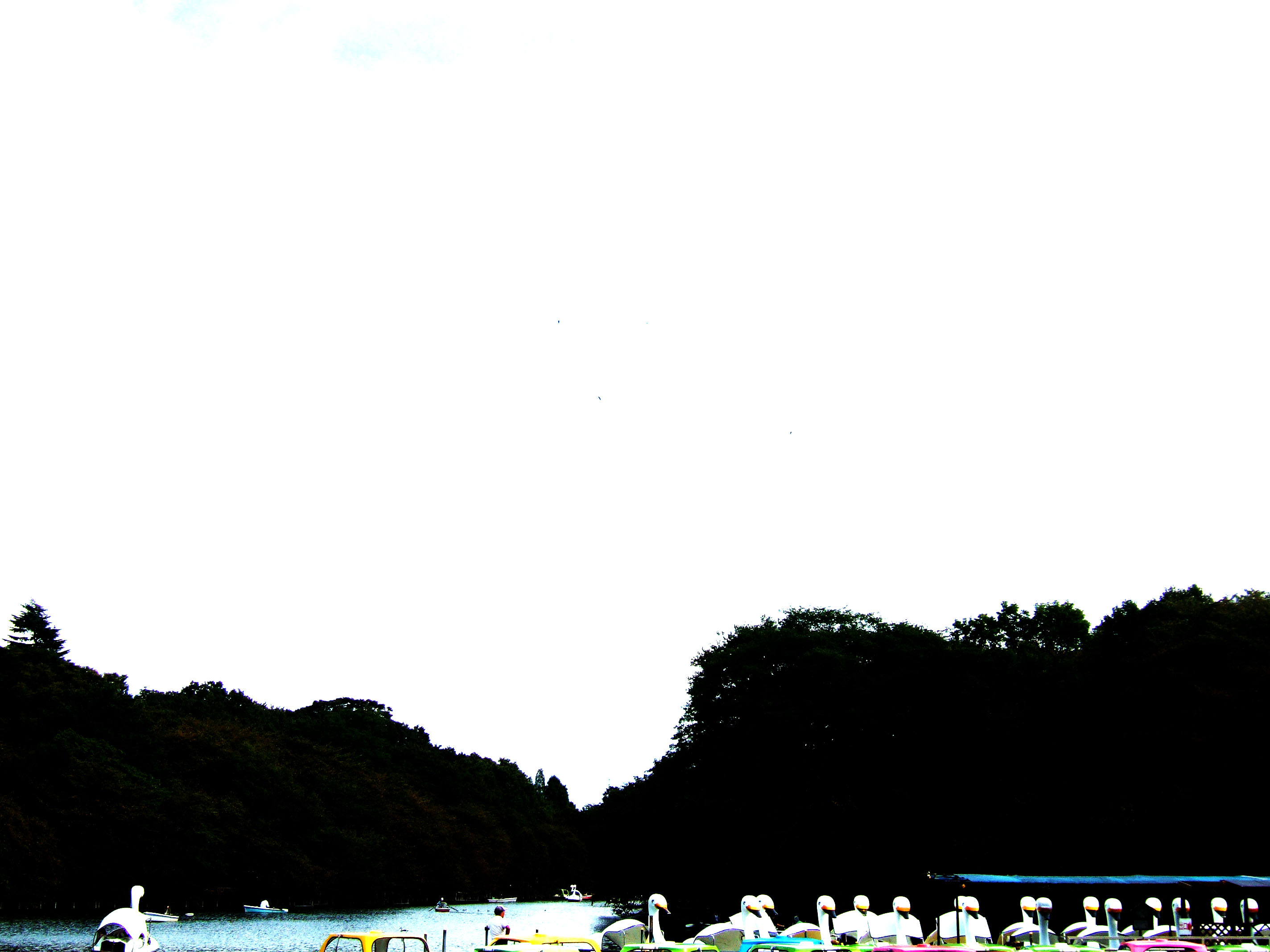 c0152037_1451010.jpg