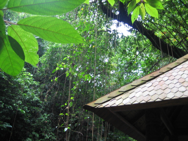 f0088639_1456946.jpg