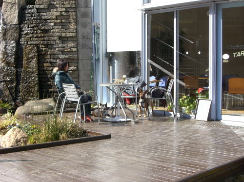 f0094843_015231.jpg