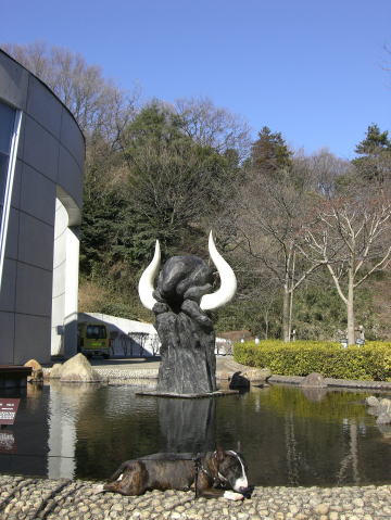 f0094843_0174816.jpg