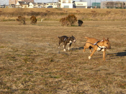 f0094843_022234.jpg