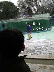 c0029744_4384338.jpg
