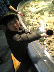 c0029744_4385330.jpg