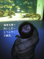 c0029744_4391511.jpg