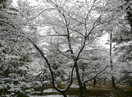 c0057946_1940549.jpg