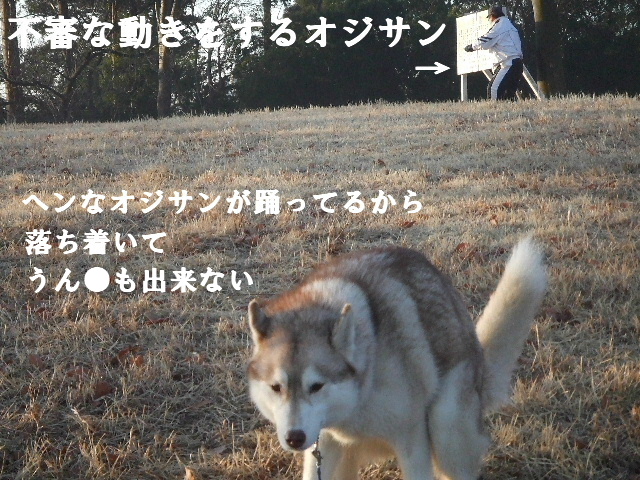 e0121548_203059.jpg