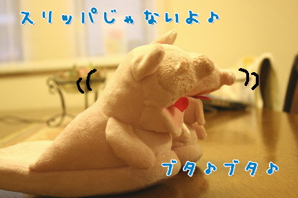 d0013149_849037.jpg