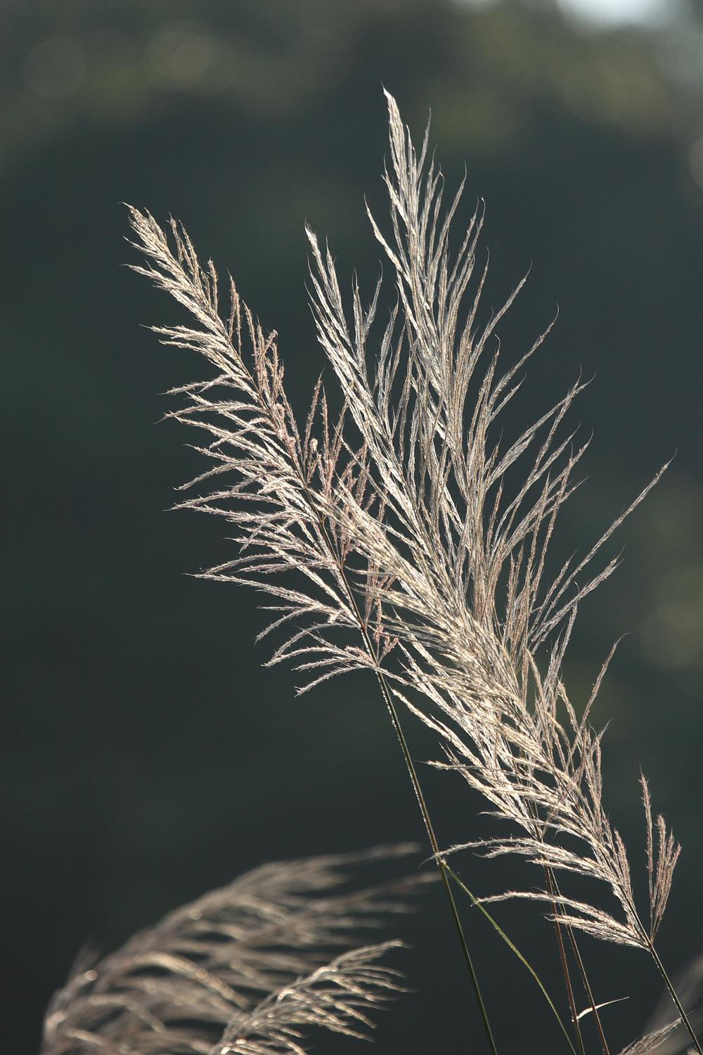 a0094850_21553779.jpg