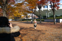c0123679_2342557.jpg