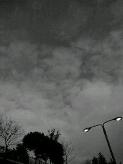 f0100480_19473850.jpg