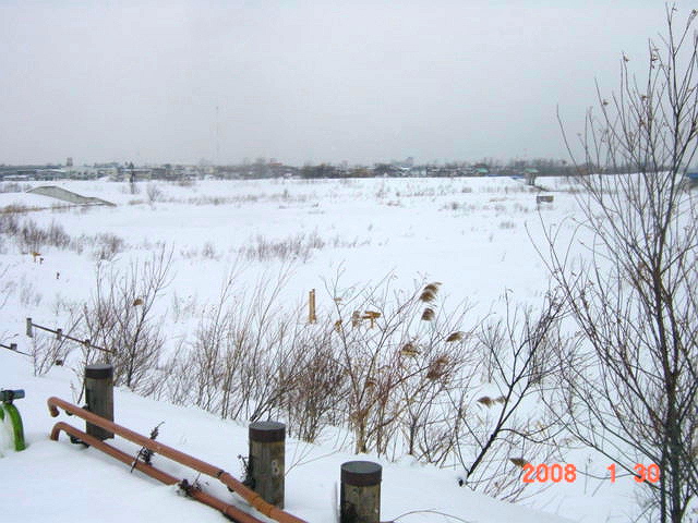 a0007388_1154120.jpg
