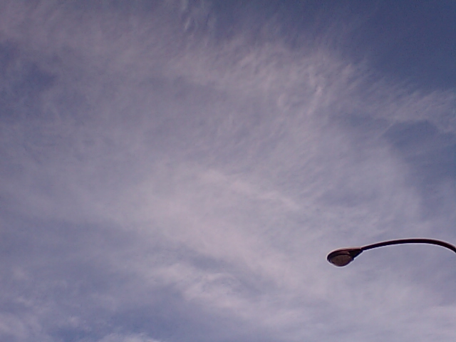 f0059291_22304860.jpg