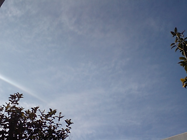 f0059291_22304863.jpg