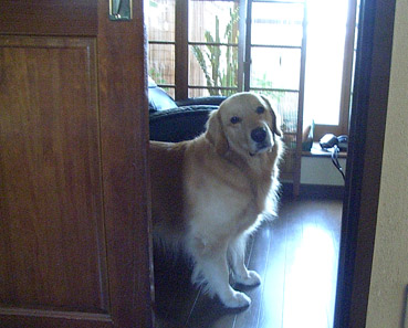 c0096393_23541253.jpg