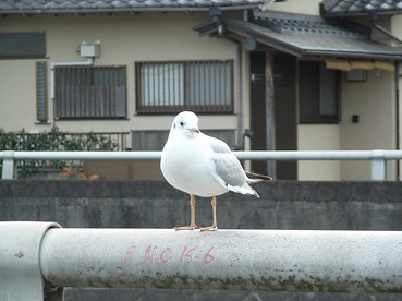 c0096393_23564511.jpg
