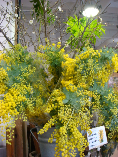 f0137694_1015116.jpg