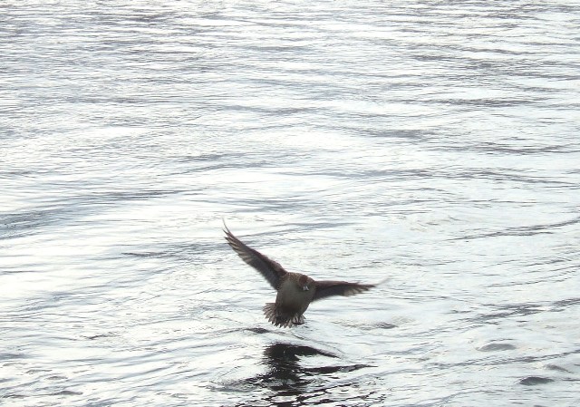 c0118496_21351746.jpg