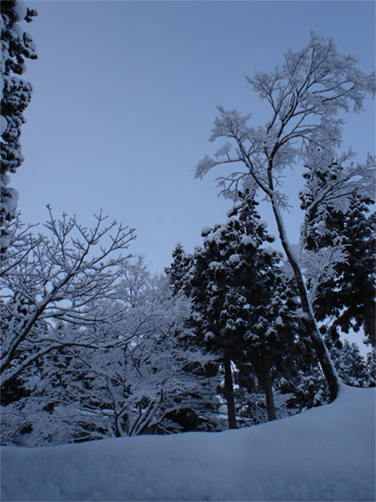 a0061599_810342.jpg