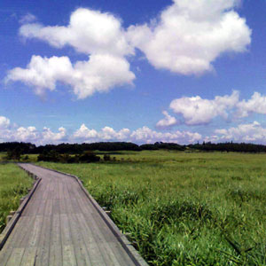 a0047200_17481886.jpg